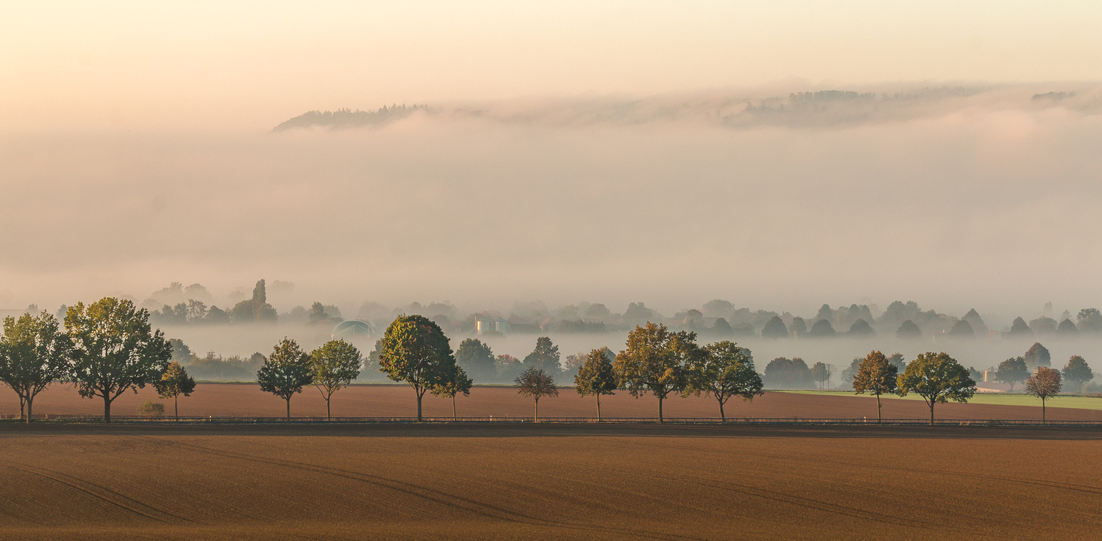 Herbstferien-Aktion